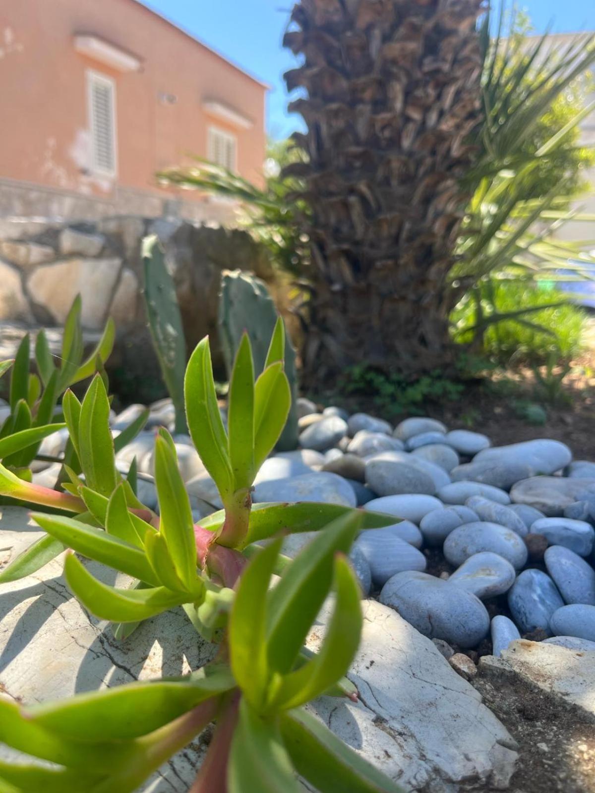 Apartamento Dimora Toma Vieste Exterior foto